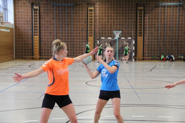 2017_01_08 Landesliga Frauen u. J19